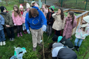 Bundestagsabgeordnete löst ihr Versprechen ein – Schülerinnen und Schüler pflanzen Obstbaum mit Bettina Lugk